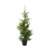 Cupressocyparis Leylandii 'Oger' Pot 7L -VIDAXL Soldes Magasin 1024503 1370083