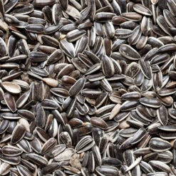 VIDAXL Soldes Magasin -VIDAXL Soldes Magasin 486351 003