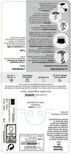 Lavandula Angustifolia Anna : C. 3L -VIDAXL Soldes Magasin 510699 005