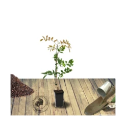 VIDAXL Soldes Magasin -VIDAXL Soldes Magasin 63efe661b48637.44880354