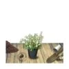 Osmanthe Heterophyllus/pot De 3l - 40/60 Cm 1 Osmanthe Heterophyllus/pot De 3l - 40/60 Cm -VIDAXL Soldes Magasin 63f4ba1bb6f6d8.92513690
