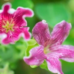 VIDAXL Soldes Magasin -VIDAXL Soldes Magasin 63f4d74f42b812.92243295