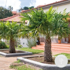 VIDAXL Soldes Magasin -VIDAXL Soldes Magasin 640b201c13d5e6.86961086