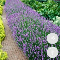 VIDAXL Soldes Magasin -VIDAXL Soldes Magasin 640b754f63dd82.58792542