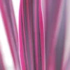 Cordyline 'pink Passion ? ' - 3l -VIDAXL Soldes Magasin 648993afd97096.36462248