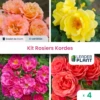 Collection 4 Rosiers Kordes - Lot De 4 Plants En Godet -VIDAXL Soldes Magasin 6495cf98e04978.18757236