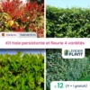 Kit Haie Persistante Et Fleurie - 4 Variétés - Lot De 12 Plants En Pot De 4 L -VIDAXL Soldes Magasin 6495d6bb271875.93272060