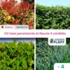 Kit Haie Persistante Et Fleurie - 4 Variétés - Lot De 4 Plants En Pot De 4 L -VIDAXL Soldes Magasin 6495d6bc8a9172.67910891