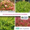 Kit Haie Basse Persistante - 4 Variétés - Lot De 100 Plants En Godet 2 Kit Haie Basse Persistante - 4 Variétés - Lot De 100 Plants En Godet -VIDAXL Soldes Magasin 6495d6c16ffdd7.90269543