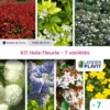 Kit Haie Fleurie 7 Variétés - Lot De 7 Plants En Godet 1 Kit Haie Fleurie 7 Variétés - Lot De 7 Plants En Godet -VIDAXL Soldes Magasin 6495d6c2f21c57.14565818