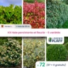 Kit Haie Persistante Et Fleurie 6 Variétés – Lot De 72 Plants En Pot De 1 L 1 Kit Haie Persistante Et Fleurie 6 Variétés – Lot De 72 Plants En Pot De 1 L -VIDAXL Soldes Magasin 6495d6c51cf639.11979241