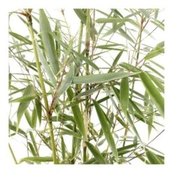 VIDAXL Soldes Magasin -VIDAXL Soldes Magasin 814665 001