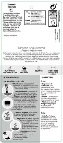 Bambou Non-traçant Fargesia Angustissima: Pot De 5 Litres 11 Bambou Non-traçant Fargesia Angustissima: Pot De 5 Litres -VIDAXL Soldes Magasin 825296 007