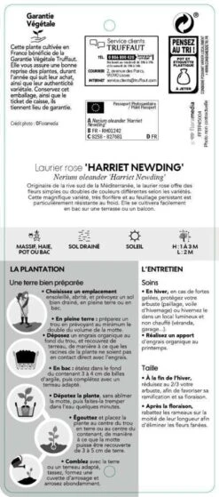 Nerium Oleander Harriet Newding' Pot 5L -VIDAXL Soldes Magasin 827681 003