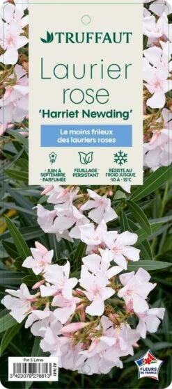 Nerium Oleander Harriet Newding' Pot 5L -VIDAXL Soldes Magasin 827681 004