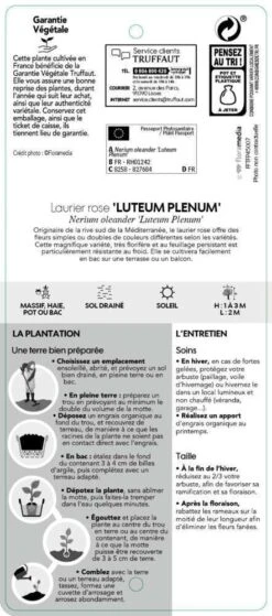 Nerium Oleander Luteum Plenum' Pot 5L 8 Nerium Oleander Luteum Plenum' Pot 5L -VIDAXL Soldes Magasin 827684 003